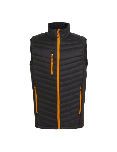 REG-TRA894-Navigate Hybrid Bodywarmer